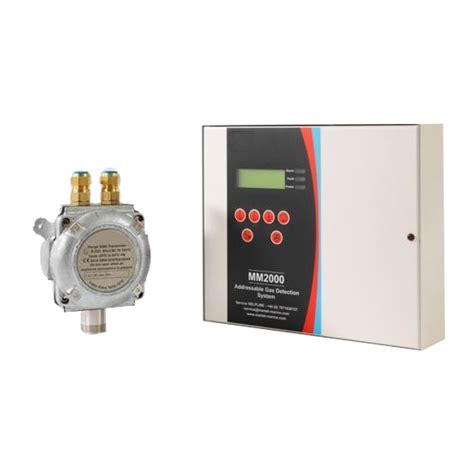 Fixed Online Gas Detector service|fixed gas detector system.